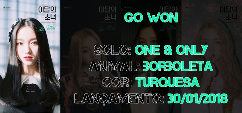Go Won One Only Turquoise Butterfly.jpg